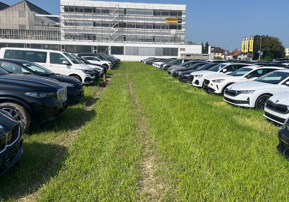 Project Swiss – Parking Spaces for rental cars 2025